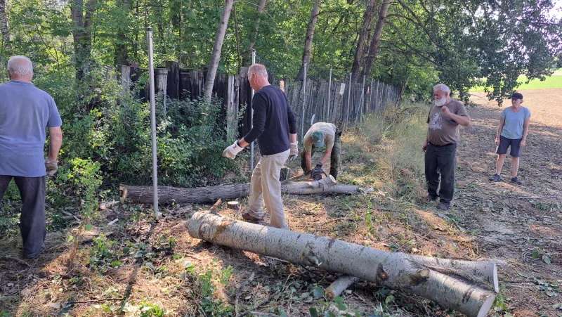 Odstraňování zlomeních stromů 8.8.2026