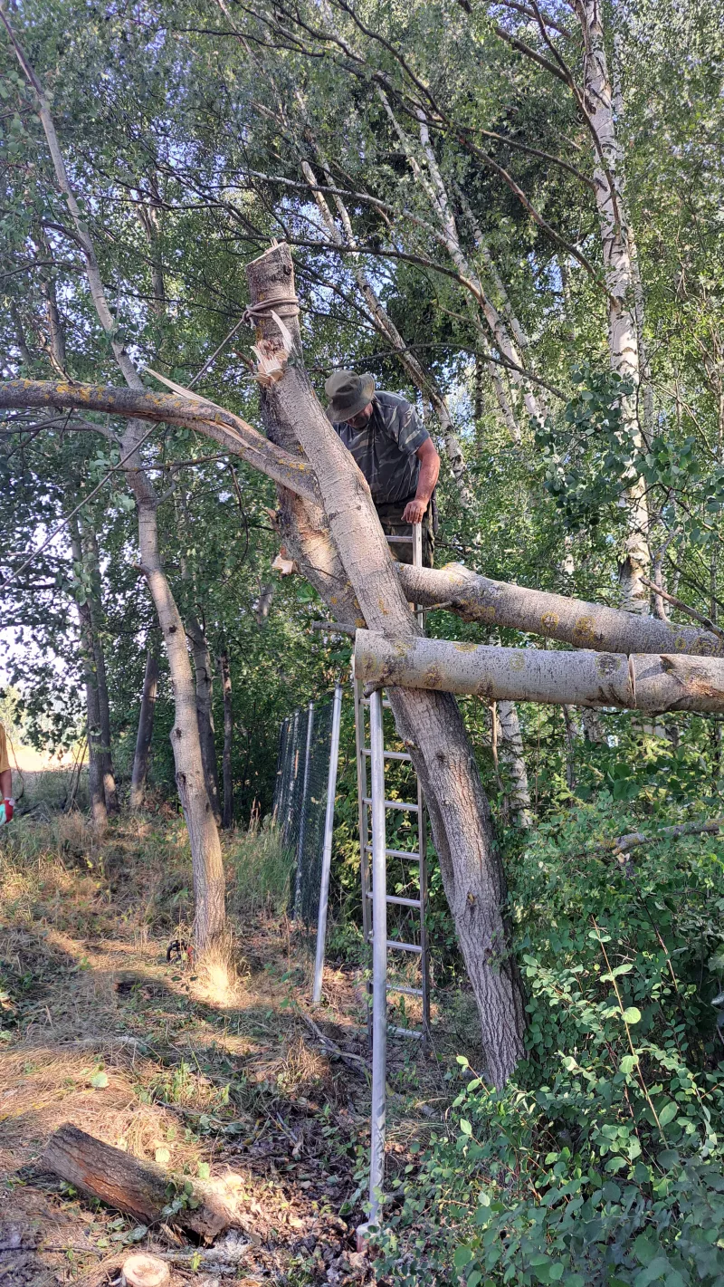 Odstraňování zlomeních stromů 8.8.2026